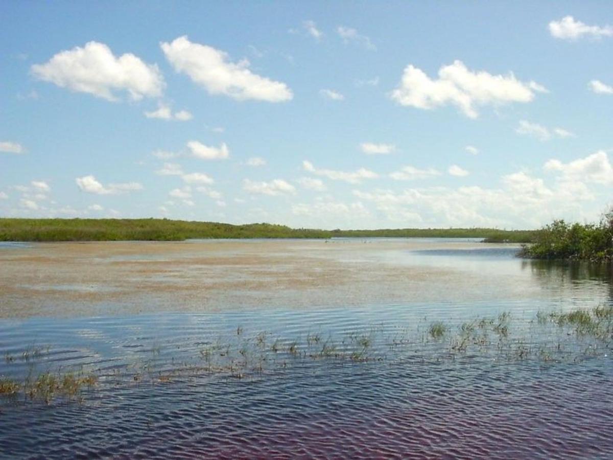 Вилла Buttonwood Reserve 1C James Cistern Экстерьер фото